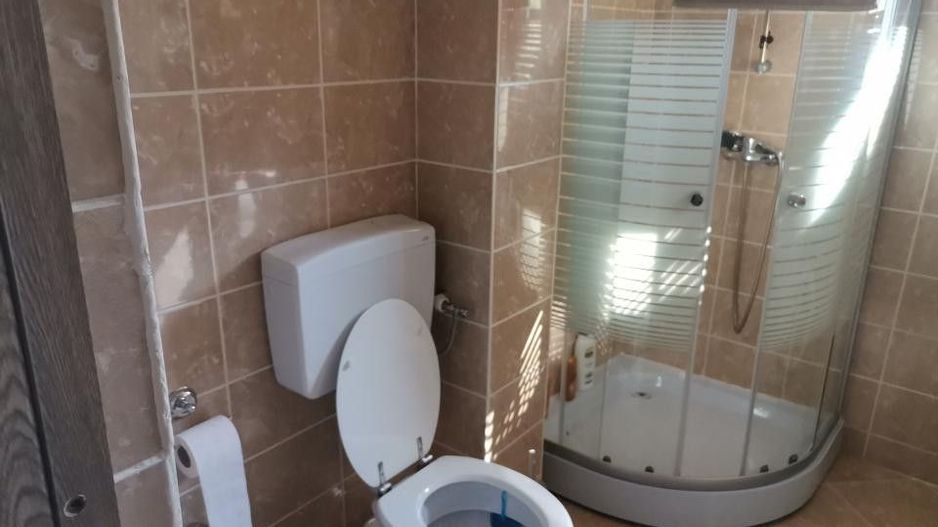 Vanzare vila Pitesti, Intrarea Nicolae Balcescu - Poză 5