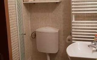 Aradului, 3 camere spatios, mobilat, utilat, CT, AC - Poză 5