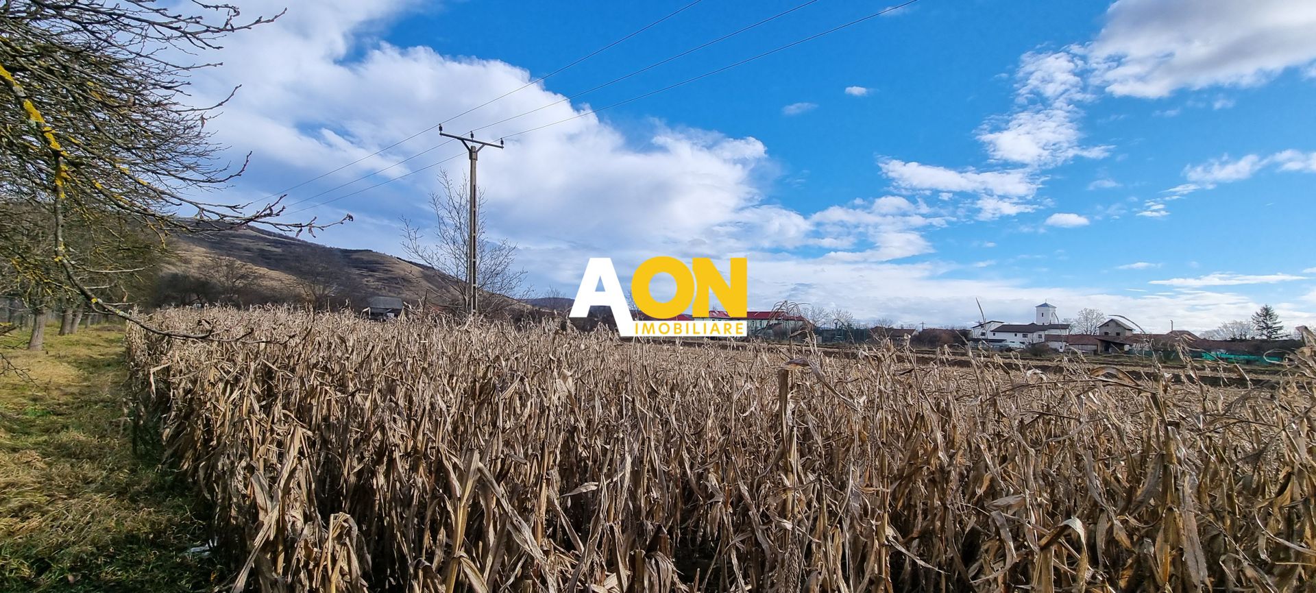 De vanzare 1929mp teren intravilan cu utilitati, Sard - Poză 4