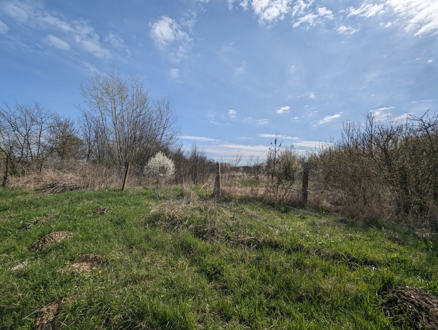 Teren intravilan Balint 22.500 mp - Poză 4