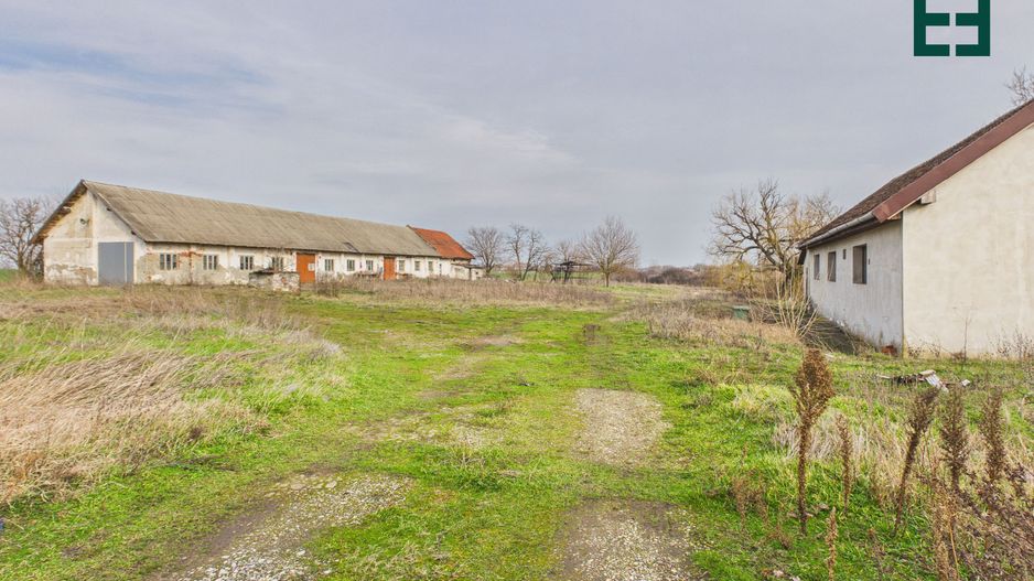 Proprietate industrială + Teren 8.632 - Voiteg - Județul Timiș - Poză 21