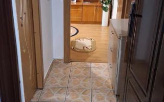 🏡 Apartament 2 camere | 📍 Zona Alexandru cel Bun - Poză 4