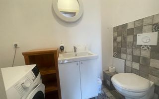 Apartament 3 camere la casă, curte proprie, Parcul Sub Arini - Poză 10