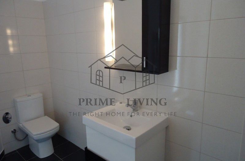 VILA CU 5 DORMITOARE SI PISCINA PRIVATA LA INCHIRIERE IN IANCU NICOLAE - Poză 7