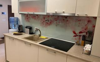 Casa individuala in Timisoara - Poză 10