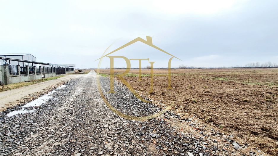 18 loturi de teren, Urseni – oportunitate excelentă pentru investitori - Poză 7