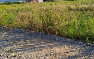 Teren extravilan 500 mp I Șelimbăr I Zonă în dezvoltare I Acces privat - Poză 5