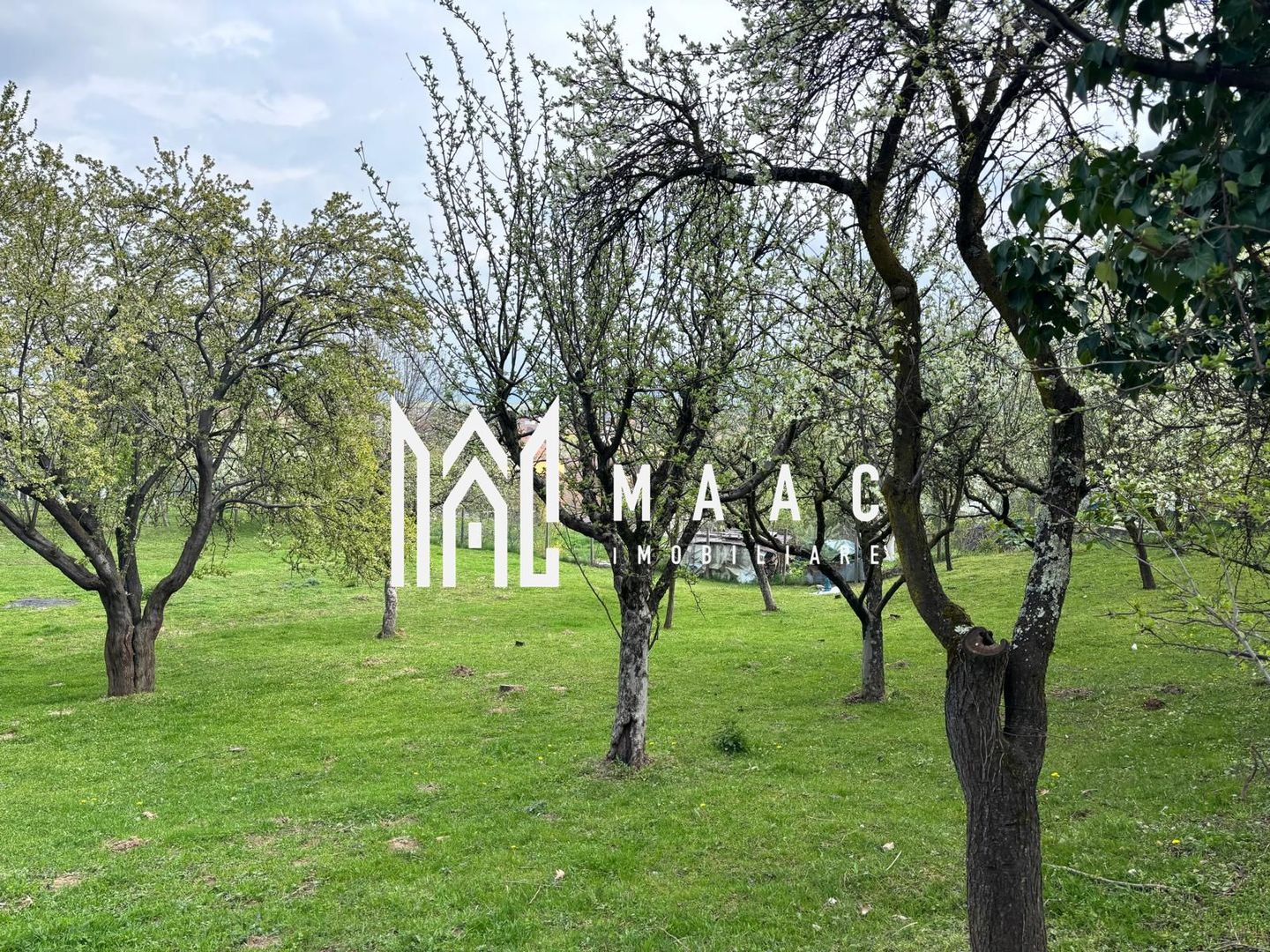 Teren | Intravilan | 855 MP - Poză 2