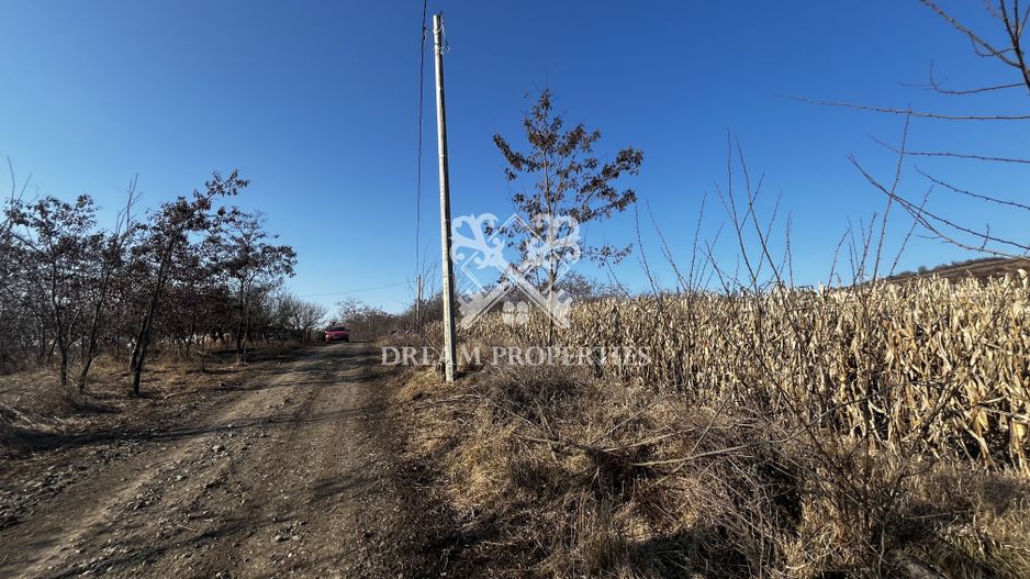 Oportunitate investitie! Teren extravilan Valea Fanatelor, 1ha - Poză 2