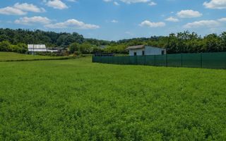 CABANA | TEREN  |BUDESTI |664 MP|25.000 NEGOCIABIL - Poză 5