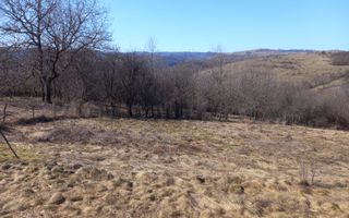 Două case de vânzare – Cerisor – teren generos 6996 mp - Poză 13