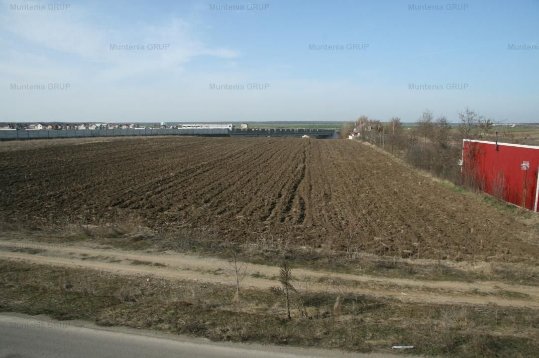 Moara Vlasiei, 5100 mp. teren intravilan, langa A3, toate utilitatile - Poză 10