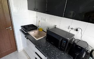 2 Camere- Renovat Complet- Mobilat si Utilat- Alexandru cel Bun - Poză 4