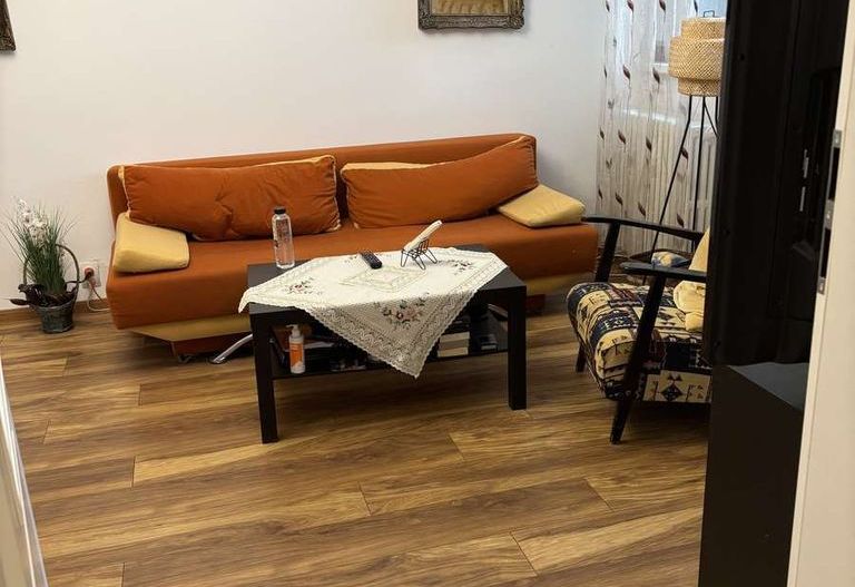 Apartament 2 camere, renovat 2023, balcon generos, Bulevardul Ion Mihalache - Poză 3