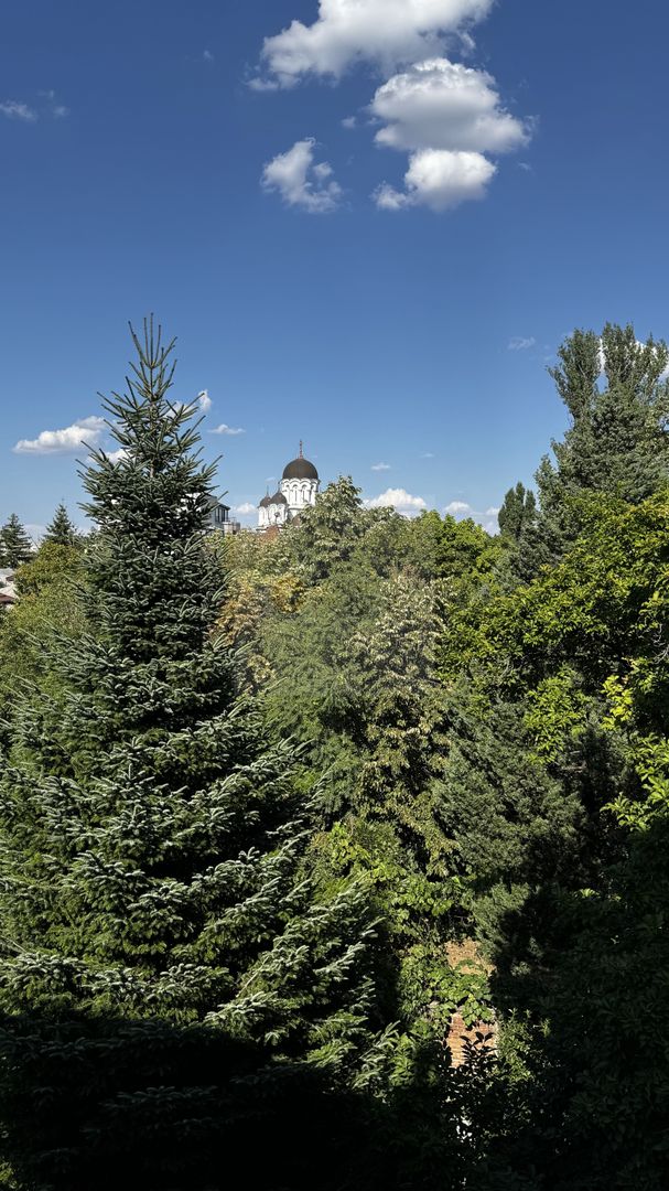 4 camere + birou | Biserica Casin | 110mp total | Renovat 2025 - Poză 4