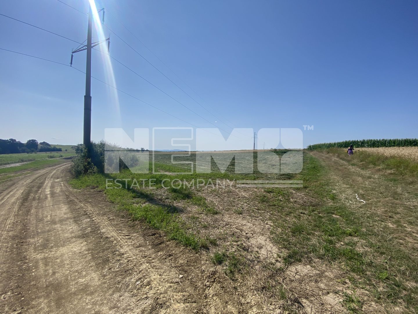 Teren Tarinca | 3400 MP | Front 24 Metri - Poză 3