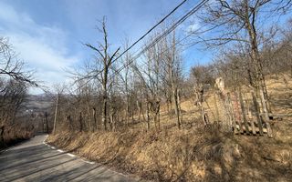 Teren intravilan 2788 mp deschidere 55 ml cu vedere panoramica ! - Poză 22