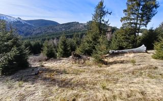 Teren de vânzare în zona montană a județului Alba - Poză 2