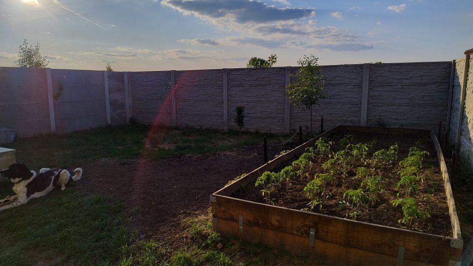 Casa pe parter in Bucovat - Poză 9
