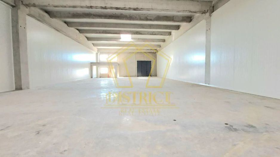 Spatiu tip Hala Noua I Sanandrei - Poză 3