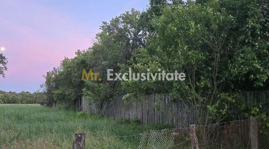 Casă cu 7.769 mp teren și pădure | Budieni | 53.000€ - Poză 4
