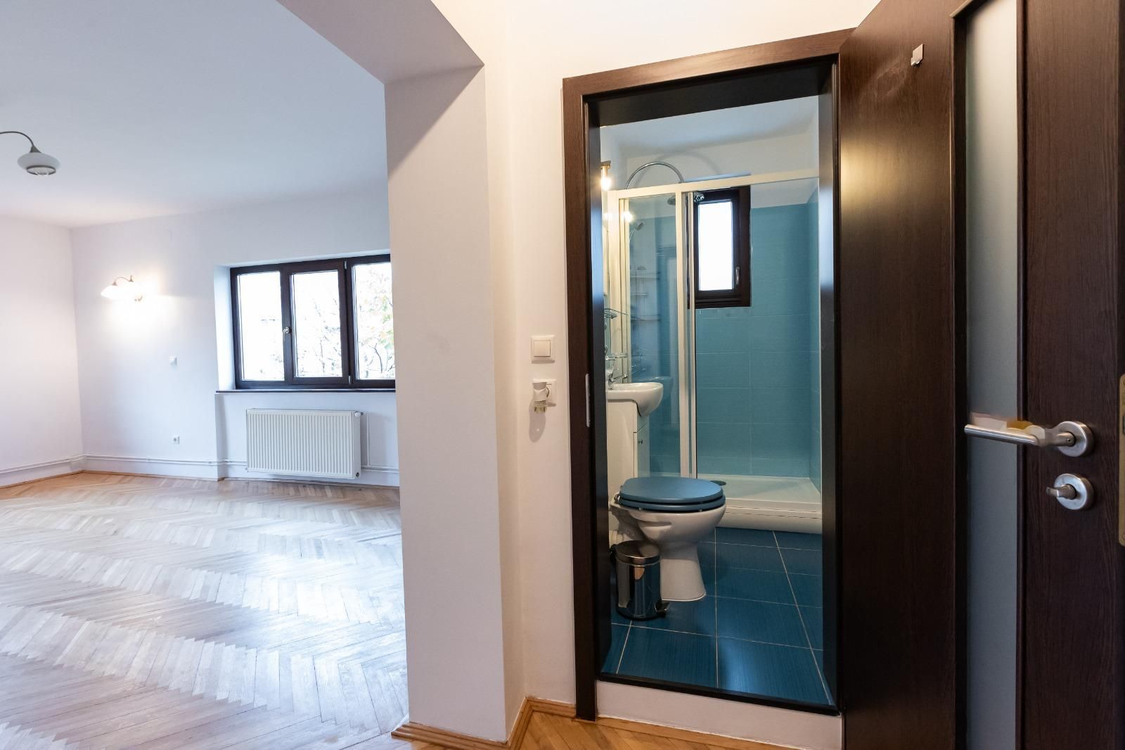 Apartament spatios cu garaj in zona Bogdanesti - Poză 17