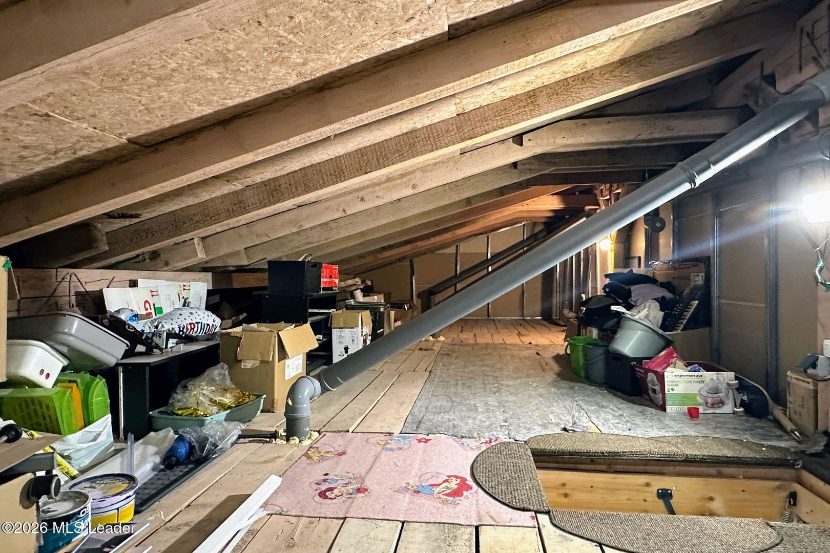 Fizicienilor - Lacramioarei, 3 camere 67 mp, pod 40 mp, modernizat - Poză 23