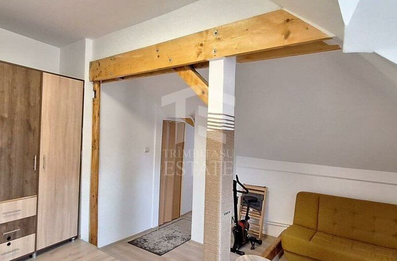 Apartament cochet 3 camere Central- str.Monumentului - Poză 19