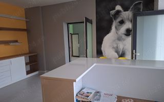 BRASADAS vinde casa 4 cam Sararie - Copou. - Poză 3