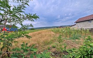 AZURA Imobiliare - Teren Budeasa Galasesti Calotesti - Poză 9