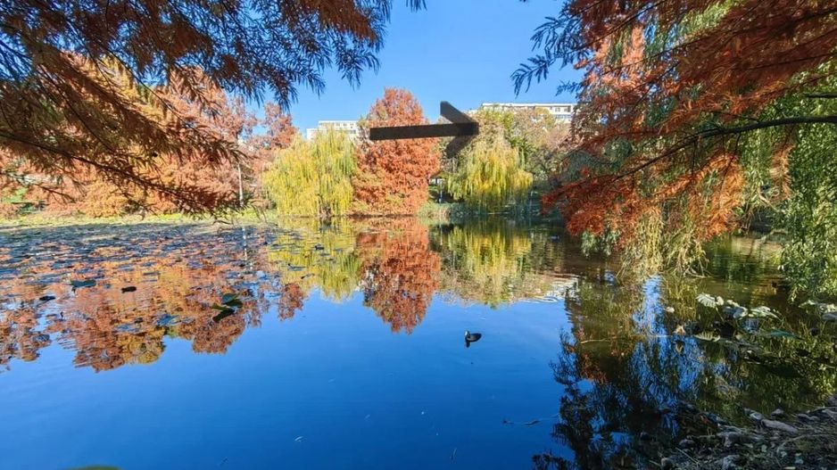 GARSONIERA TEIUL DOAMNEI, PRIMA INCHIRIERE, CENTRALA, METROU 5 MINUTE - Poză 14