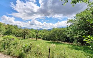 Teren intravilan 1003mp in mijlocul naturii, Predelut, comision 0 - Poză 1