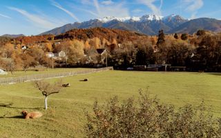 Teren Moieciu 8206 mp - Oportunitate de investitie - Poză 1