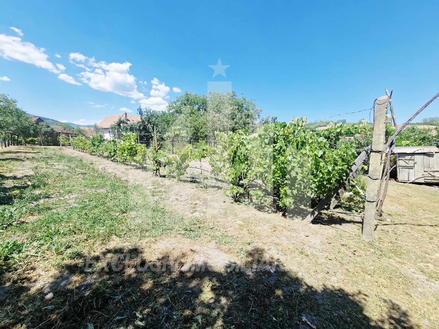 Casa cu gradina in Cricau - Poză 9