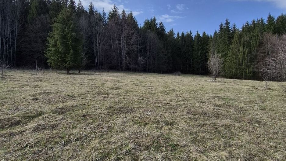 Teren intravilan la baza pădurii Valea Doftanei sat Traisteni (poduri) - Poză 13