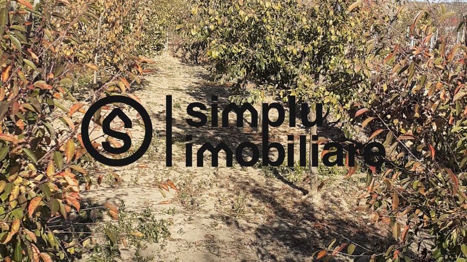 Casa Bradesti, teren 1239 mp - 29 995 Euro - Poză 3