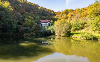 Domeniu în satul Căprioara - Poză 6