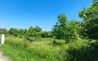 Lot pentru două case – Corbeanca Tamași - Poză 15