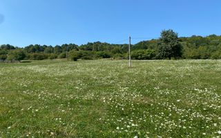 Teren 11.000 mp-ideal cabana/ferma-Unirea-Valea Slatinitei - Poză 1