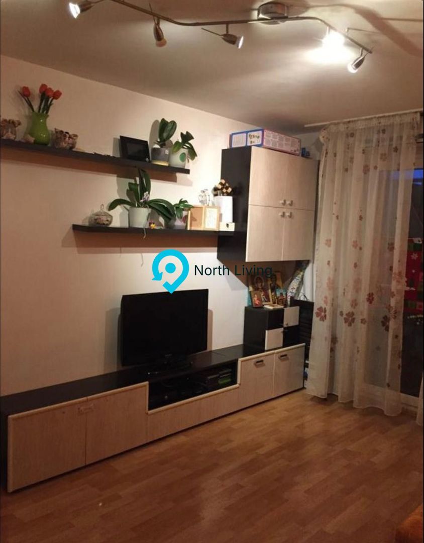 Apartament 2 camere, decomandat, Teiul Doamnei - Poză 2