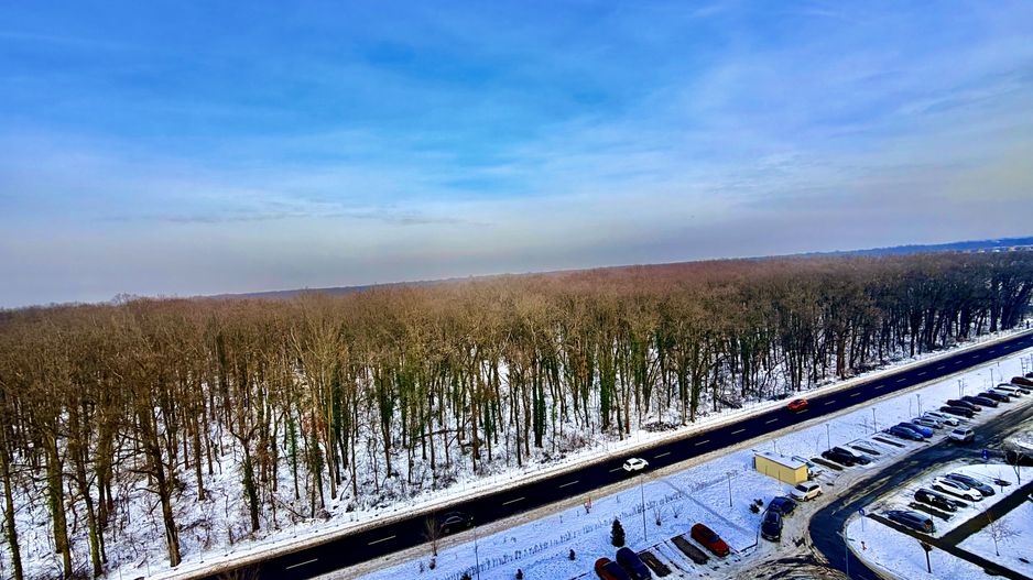 3 camere decomandat, etaj 10, vedere pădure, Adora Forest, - Poză 17