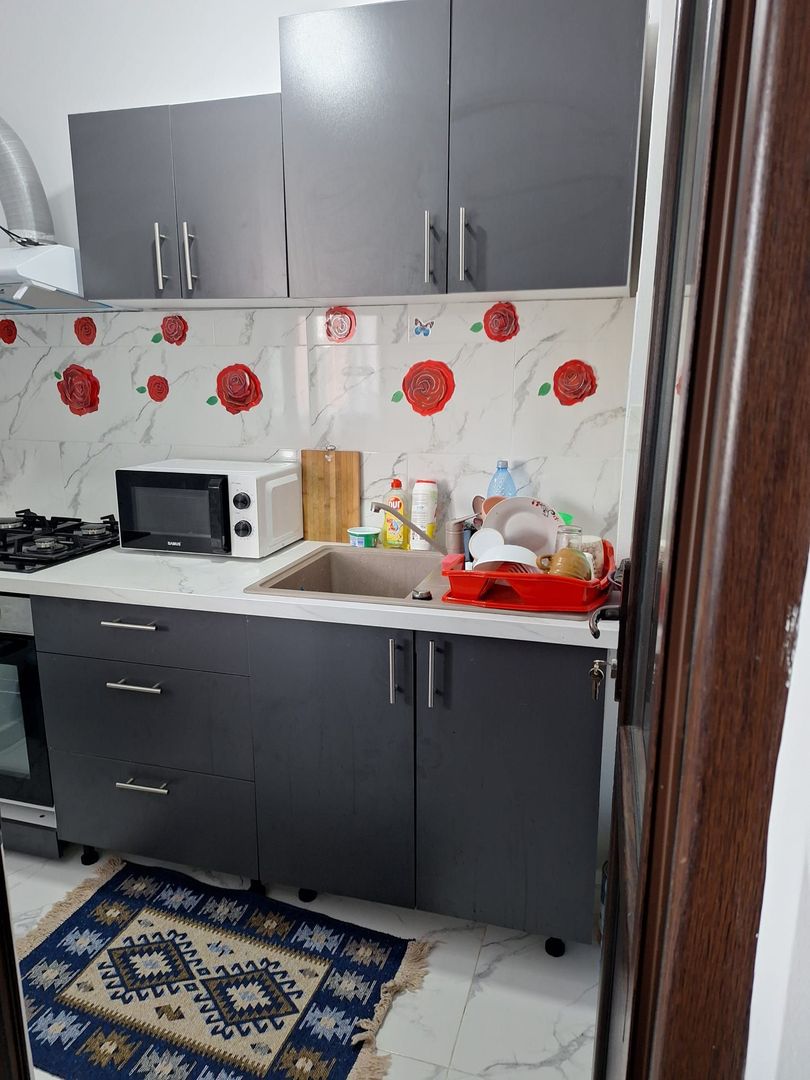 Garsoniera Drumul Taberei-Parc Moghioros - Poză 2