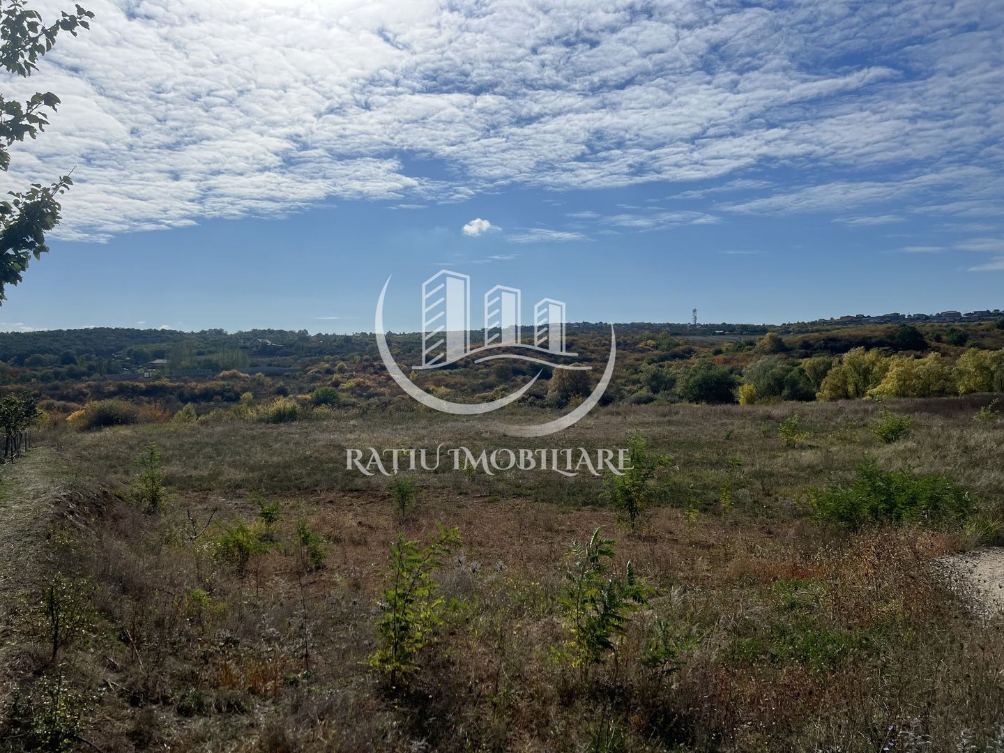 Teren intravilan 3961 MP | Paleu | Bihor - Poză 2