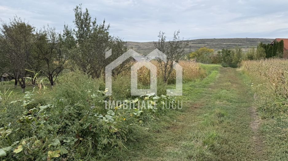 Teren construibil – 1.000 mp | Gădălin - Poză 5