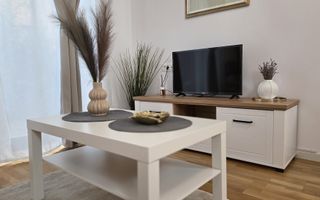 Inchiriere Studio Baneasa Bucuresti sector 1  curte privata, Aeroprort - Poză 3