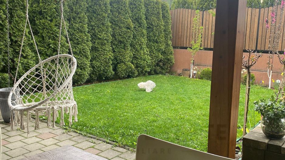 Casa moderna 4 camere 100 mp utili curte si parcare privata Cisnadie - Poză 2