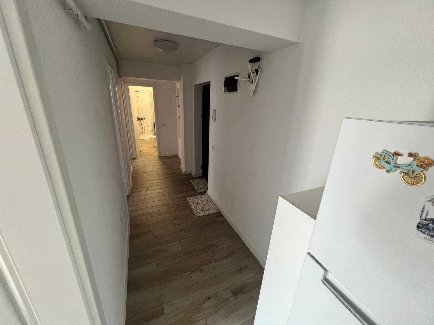 Apartament 3 camere Theodor Pallady - Poză 7