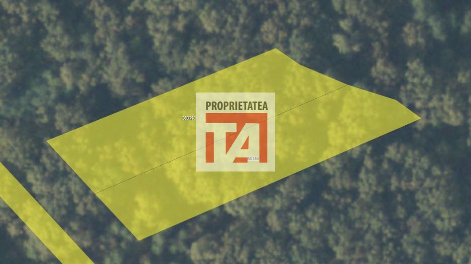 Padure Lapusel 48 ari - Poză 2