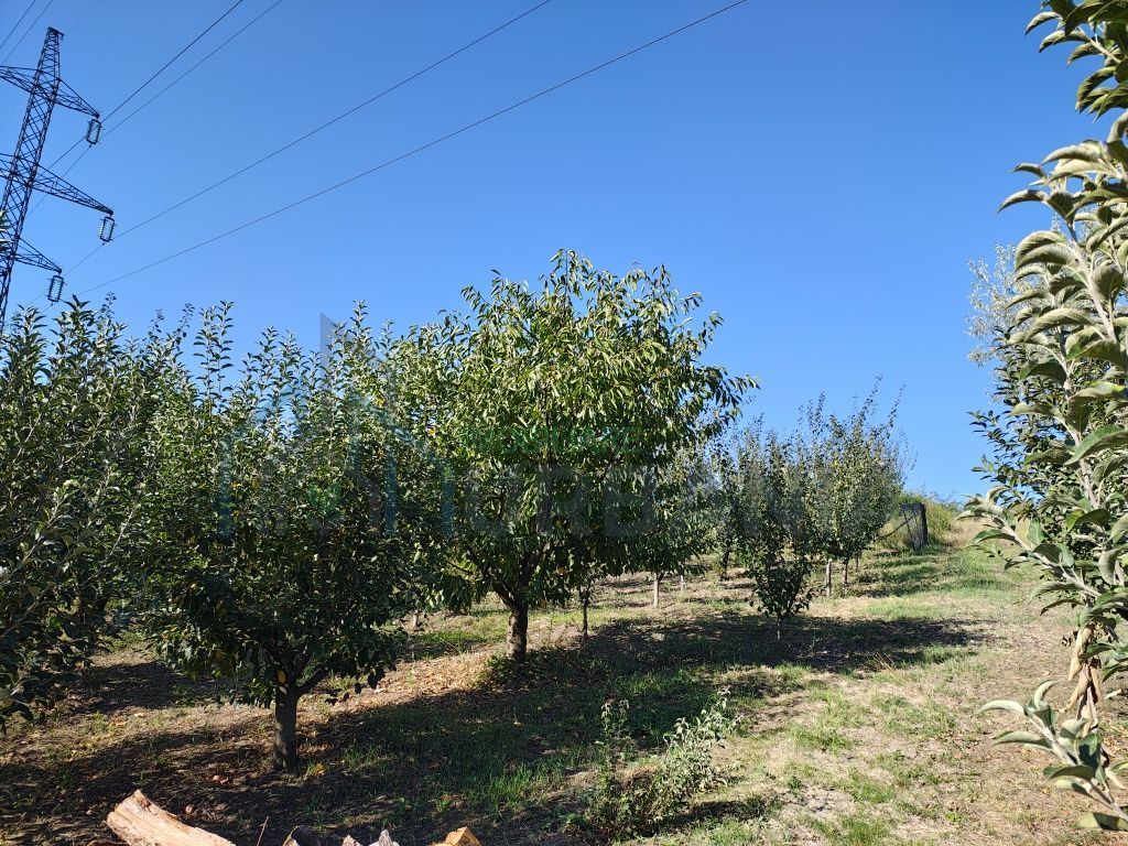 Casa de vânzare în Carlig. - Poză 6