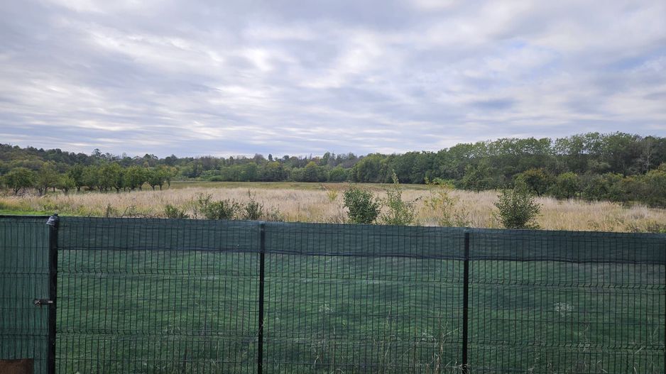 Casă de Vânzare în Albota, Sat Mareș – Liniște și Natură la Doar 10 Km - Poză 14